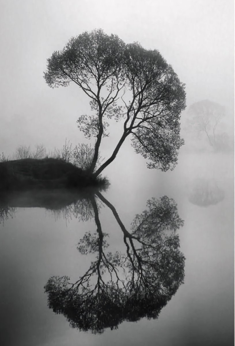 Köklerim sığmadı zamana
Bir garip ağaç oldum,
 aşk ülkesinde...

         Abdurrahim Karakoç