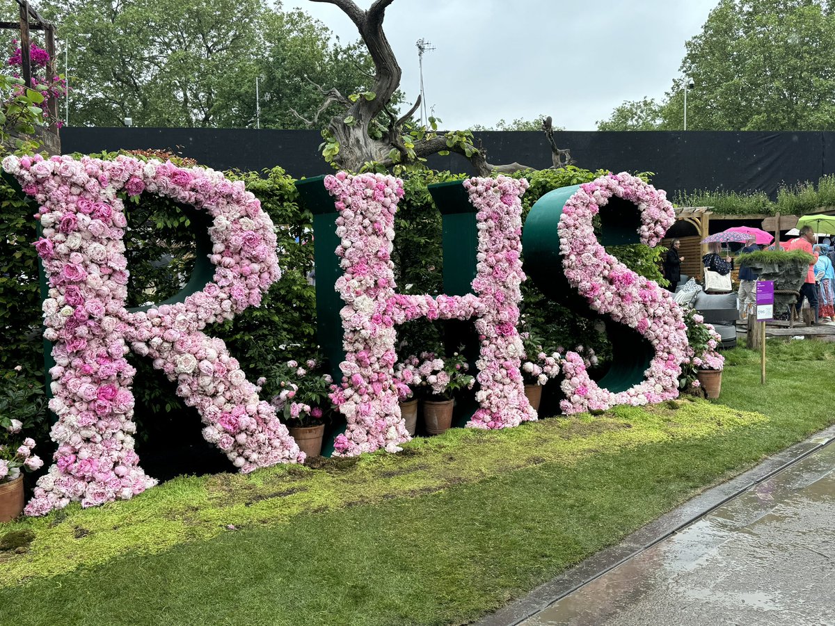 Kelly Sturt tweet media