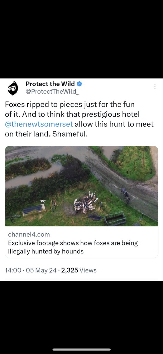 Charlie Richards tweet media