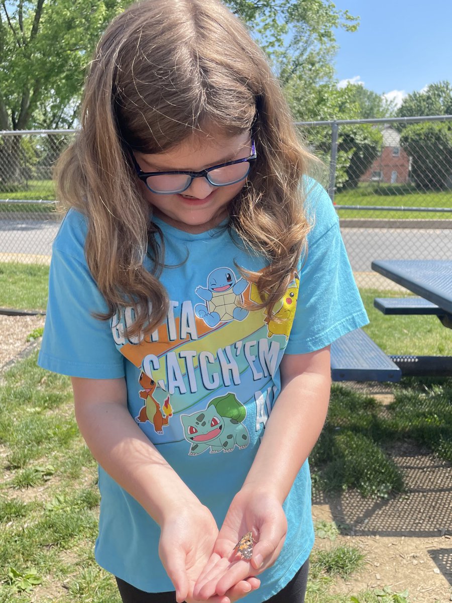 Butterflies! 🐛🦋💐