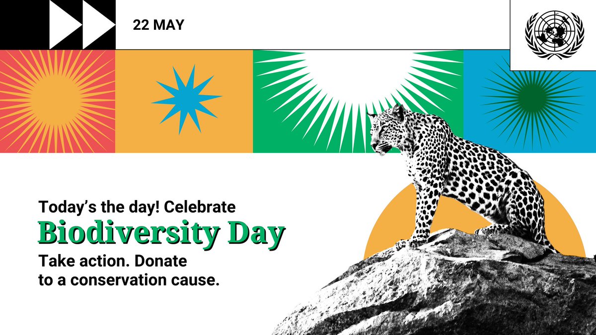 UN's tweet photo. Wednesday's #BiodiversityDay is a reminder that we all have a role to play in protecting the biodiversity we depend on.

Let’s act #ForNature together. 🌍 https://t.co/VkzUUuWc8j https://t.co/UzK9rxcQ7l