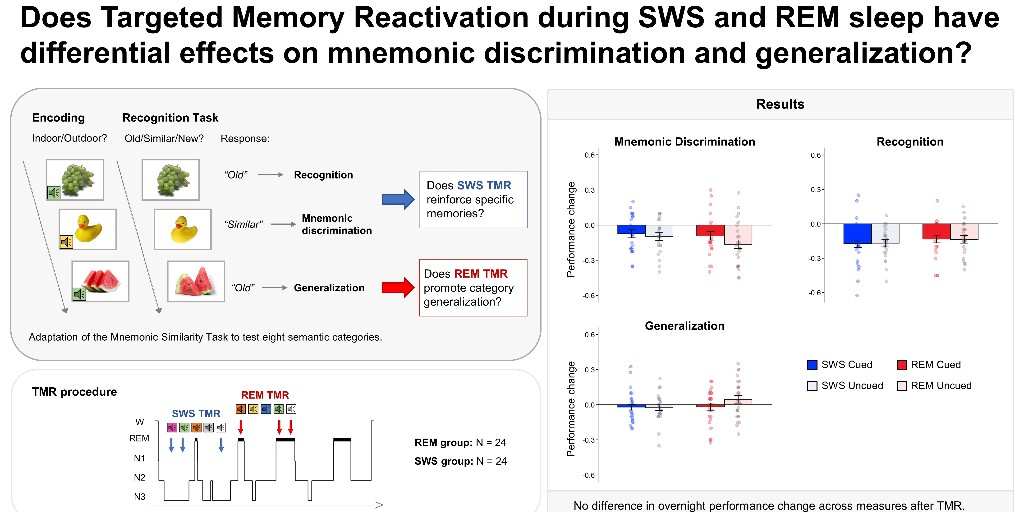 Researchers tested the hypothesis that targeted #memory reactivation (TMR) exerts a differential effect on distinct mnemonic processes as a function of the #sleep state (REM vs. NREM) in which TMR is delivered. ow.ly/29kX50RPS5B