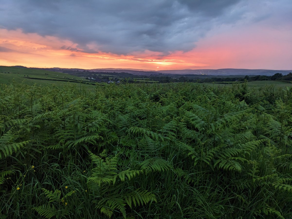 Spectacular sunset over the valleys tonight. #Wales #views #sunsetphotography