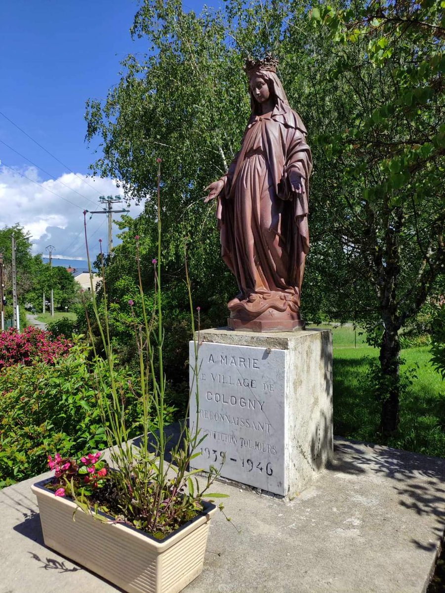 FlorianZuccalli's tweet image. | TRAIL - RANDO | 🏃
Courte session distribution de flyers en vue de notre réunion proposée aux habitants de Cologny
@Seyssel74
#hameau #cologny #seyssel #HauteSavoie #hautrhonetourisme #seysselhautesavoie #village #monbeauvillage