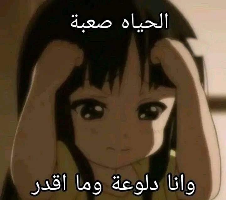 هل انت عبيط! |كود نايس ون Mo7 (@egyptianmemees) on Twitter photo 