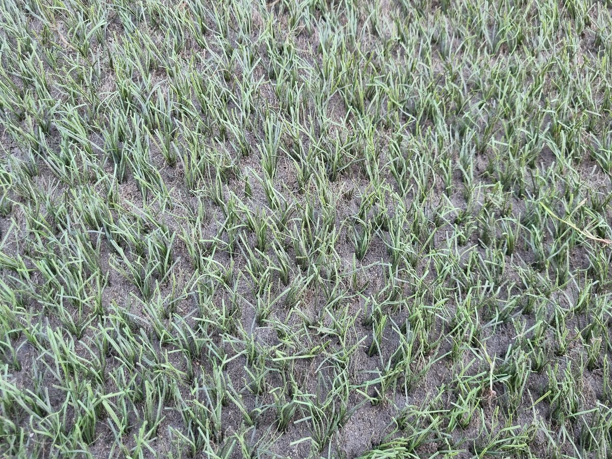 CorkSportsgroundServ tweet media