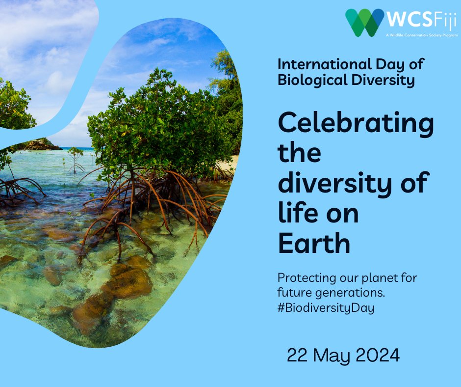 Happy International Day for Biodiversity! Let's cherish the incredible diversity of life around us and commit to protecting it for generations to come. 🌍🌱 #BiodiversityDay #NatureMatters