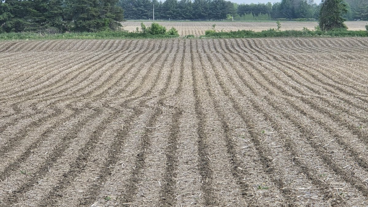 Warren Schneckenburger 🇨🇦 tweet media