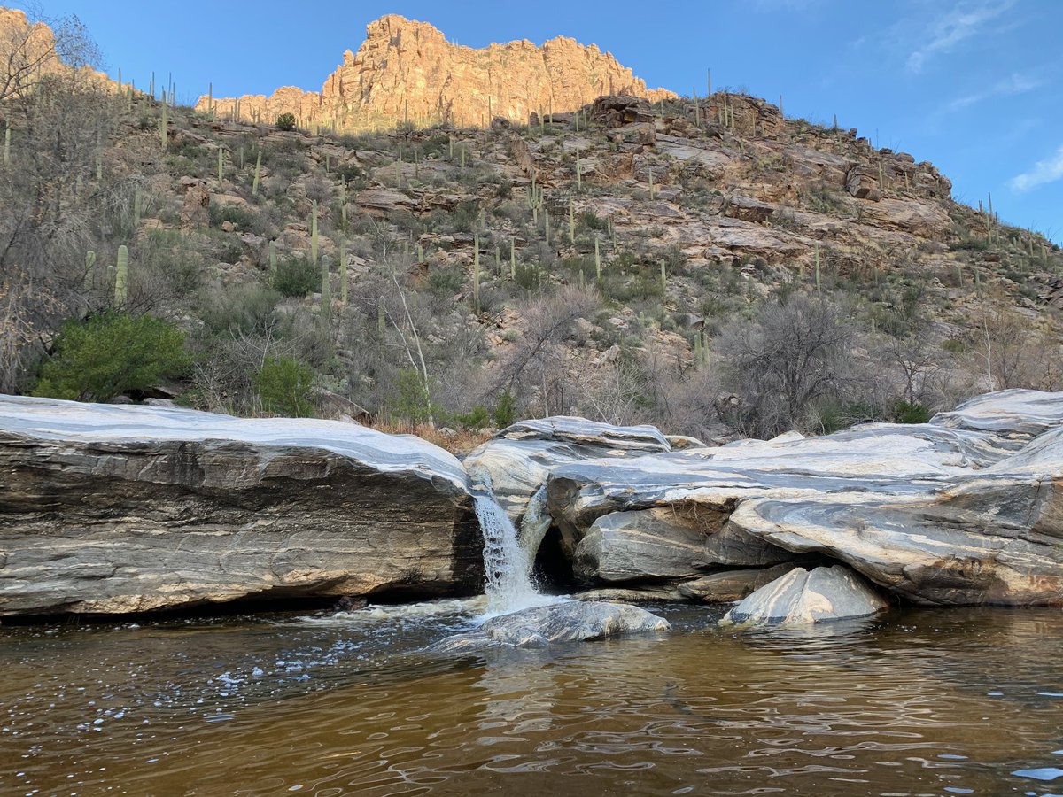 southwest_casc's tweet photo. ☀️🌴

Summer is coming! 

As those thermometers keep climbing, swimming and water recreation are great ways to cool off! Remember to bring water and sun protection, and make sure to supervise children. Life jackets are always a good idea! https://t.co/zTa2LMClhE