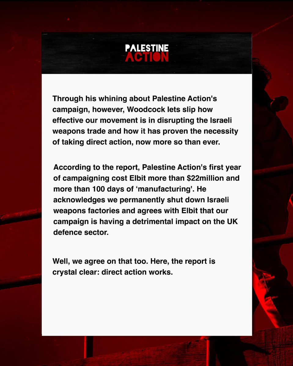 Palestine Action’s statement on ‘Lord’ Walney’s report which calls for our movement to be banned.