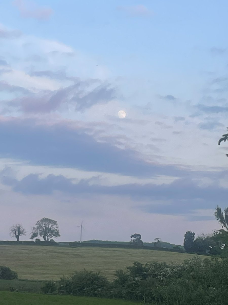 Loving these bright evenings!