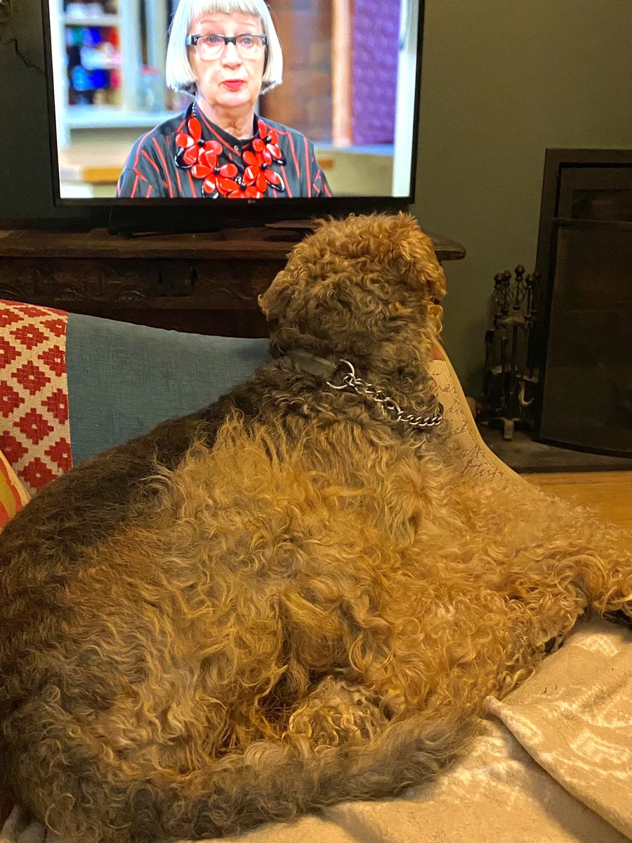 When Margo meets Esme @paddygrant @sewingbee #EsmeYoung #Airedales #Sewingbee2024