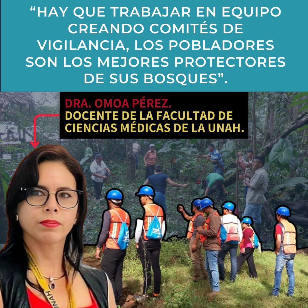 Dra. Omoa Pérez de la UNAH enfatiza la importancia de la vigilancia local para preservar el medio ambiente.