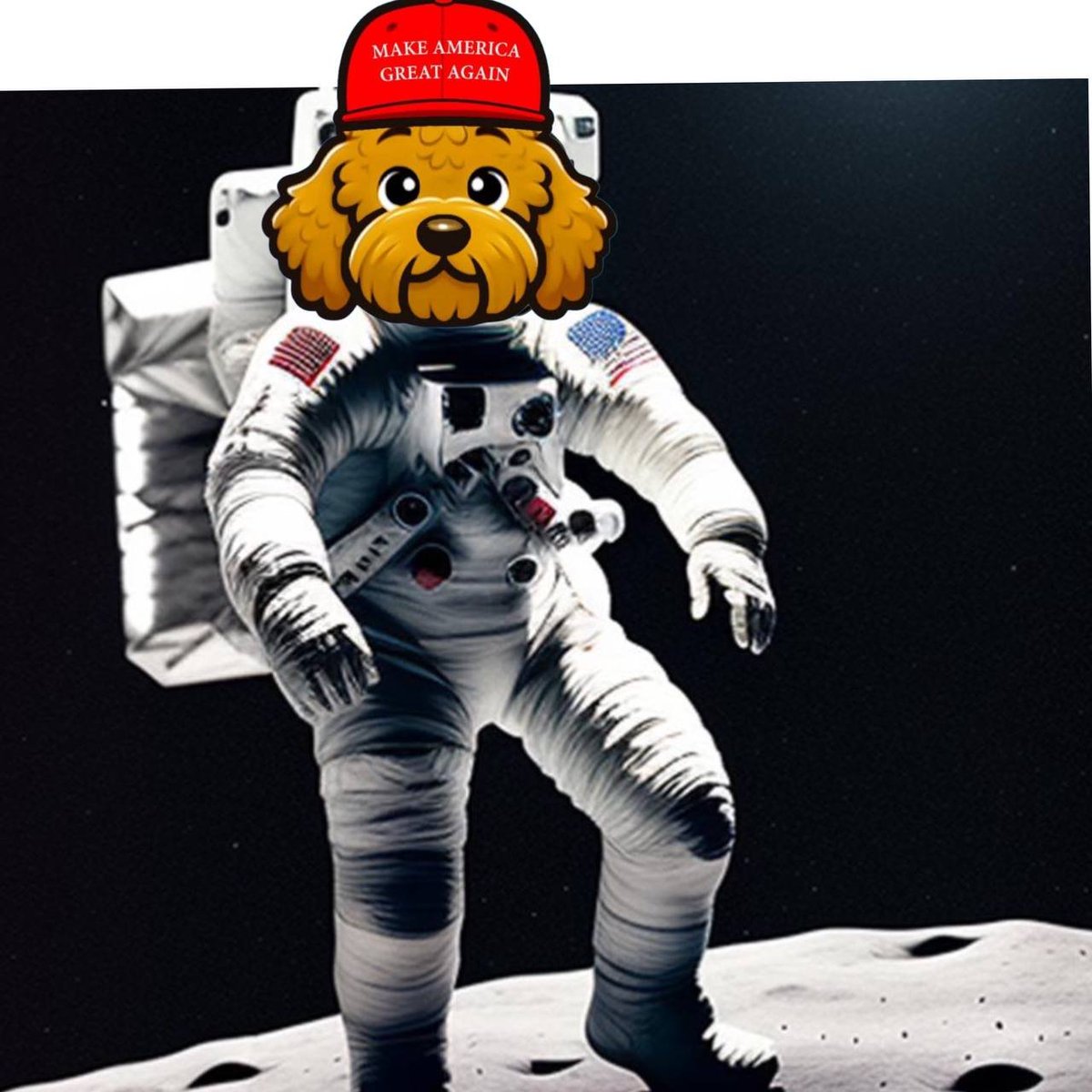 Goodfellas171's tweet photo. @Pauly0x $patton to the moon. #sol https://t.co/EFvAVSQV3e