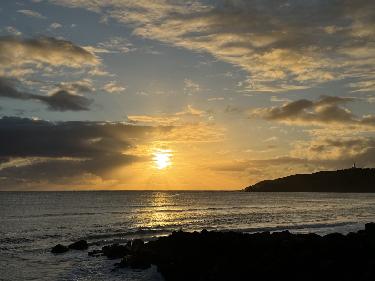 Annie O'Rourke (@founder89oe) on Twitter photo 