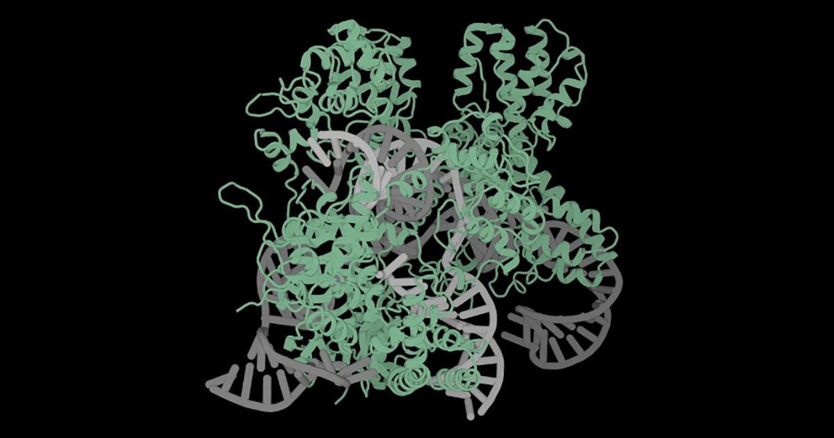 New AI generates CRISPR proteins unlike any seen in nature Profluent’s new platform is like ChatGPT for genetic technology buff.ly/3QJ6kw7 @freethinkmedia #AI #GenerativeAI Cc @Fabriziobustama @sonu_monika @FrRonconi
