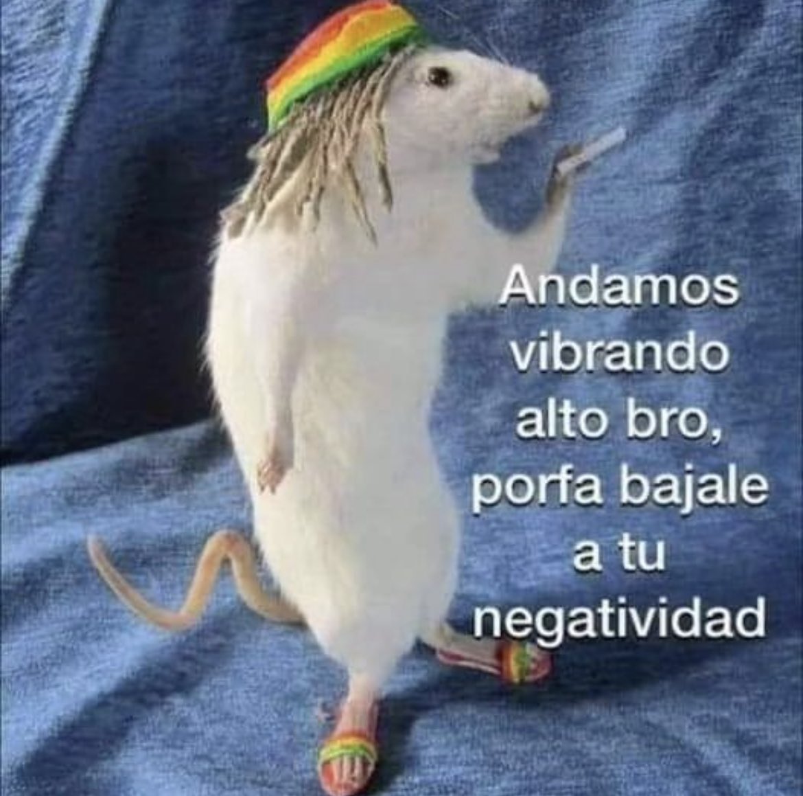 Angeel_Artesano's tweet image. 