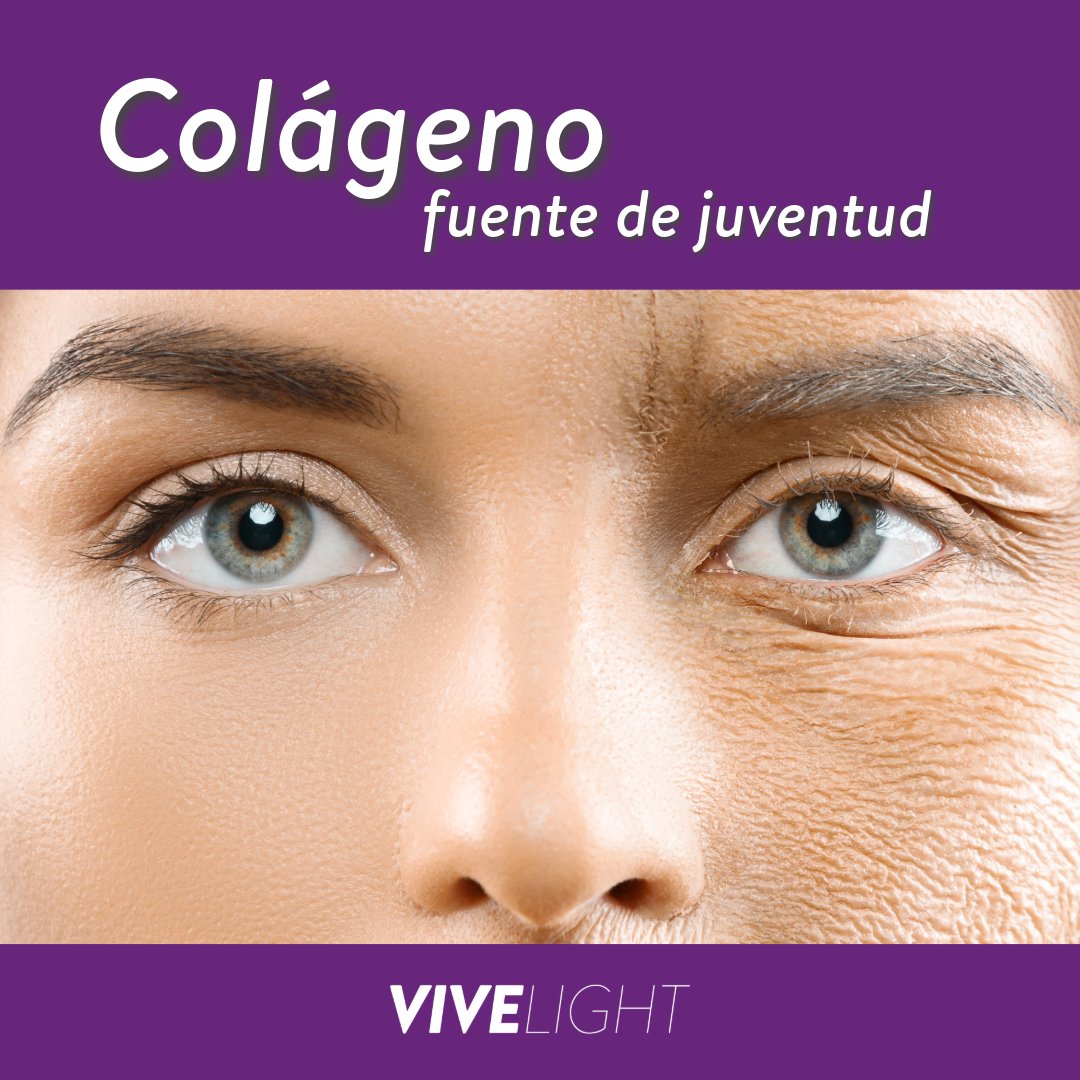 VivelightEc's tweet photo. Colágeno, fuente de juventud
alimentos que estimulan el colágeno.

• Concentrado de caldo de hueso; res, pescado
• Huevos
• Cítricos (frutas y verduras)
• Ajo 
• semillas, nueces, granos integrales, bananos aguacates. https://t.co/LokEOZuhop