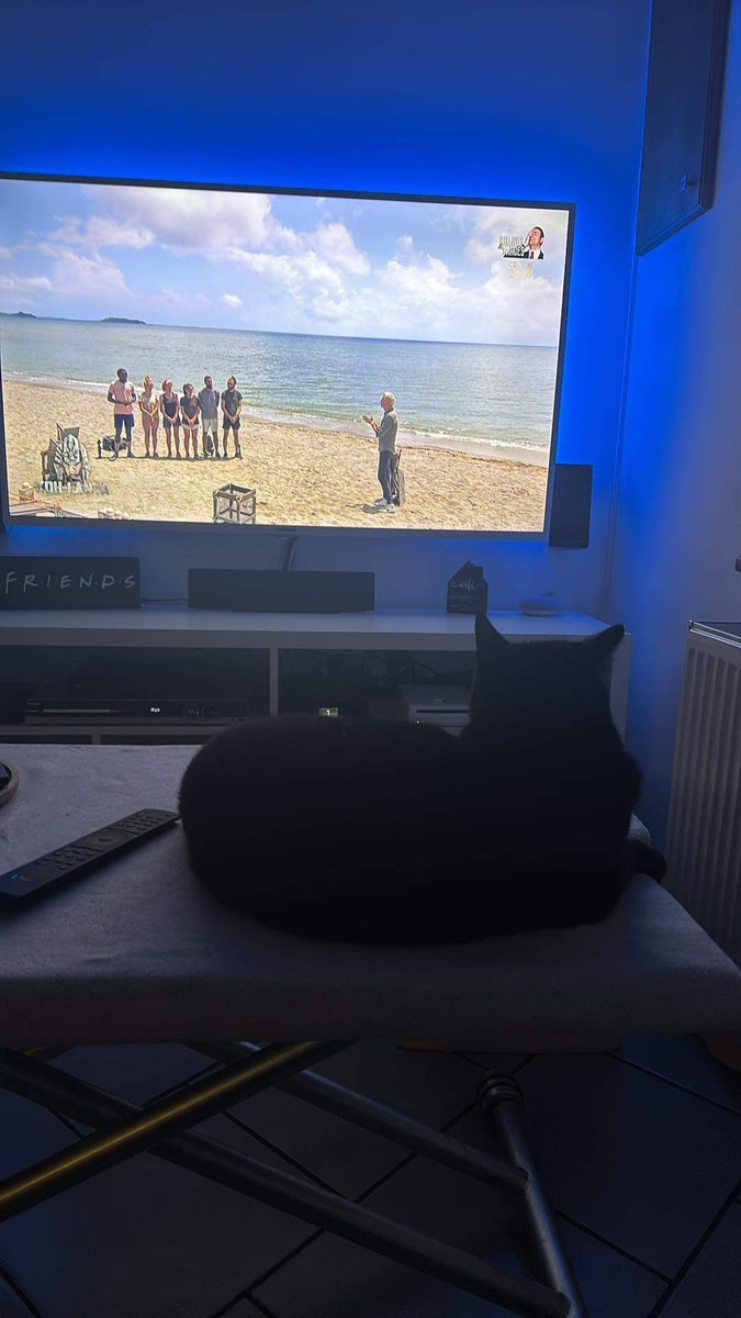 Le gars il s’est posé sur la table pour regarder #KohLanta avec moi 😂