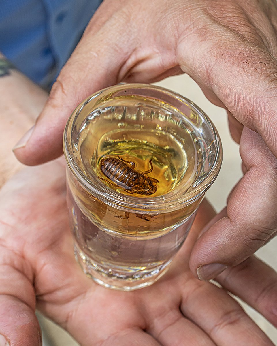 Noon Whistle Brewing tweet media