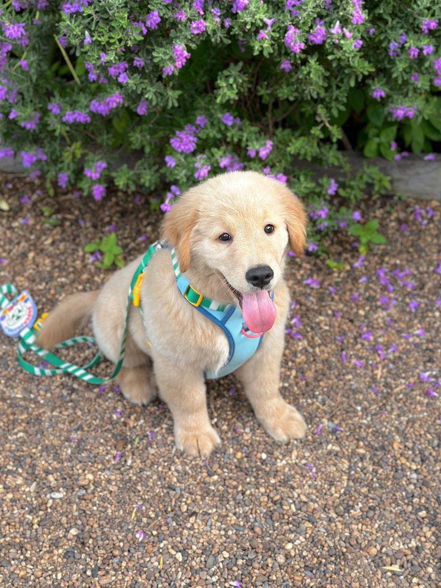 สุดหล่อท่อตรงเป็นของคุณนะ
#เบต้าสตอรี่