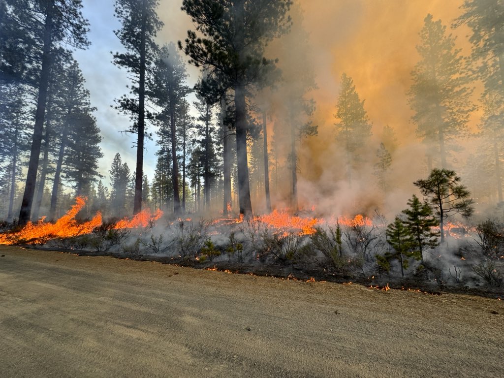 🔥Firefighters on the Crescent Ranger District completed 58 acres of prescribed burning on Five Mile Unit 14 Prescribed Burn today 7 miles S of Crescent & 1 mile N or Hwy 58/97 jct. Smoke is visible from the highways. Firefighters are patrolling & securing the burn’s perimeter.