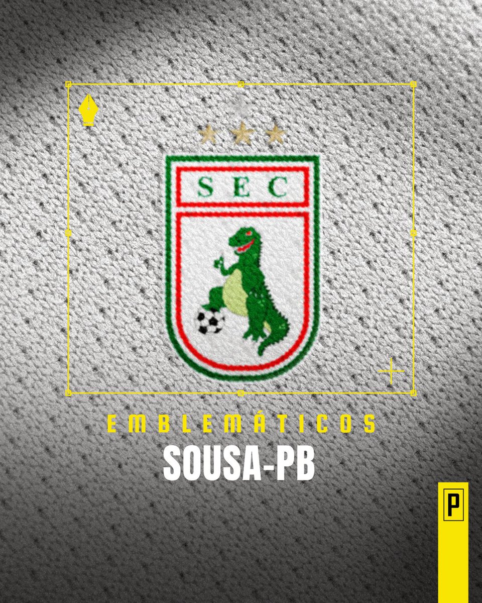 O Sousa Esporte Clube se destaca pela sua rápida ascensão desde sua criação em 1991, tendo sido campeão paraibano pela 1ª vez apenas três anos após fundação, quebrando longa hegemonia do eixo Campina Grande-João Pessoa.

O escudo do clube chegou a viralizar na internet em março