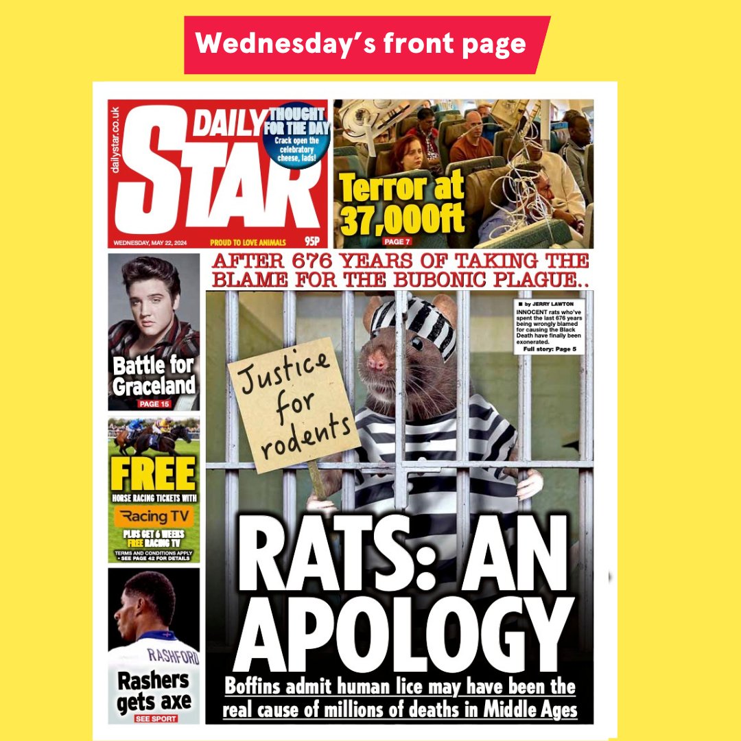Daily Star's Wednesday Front Page - Rats cleared of being responsible for spreading the plague as study reveals real culprits