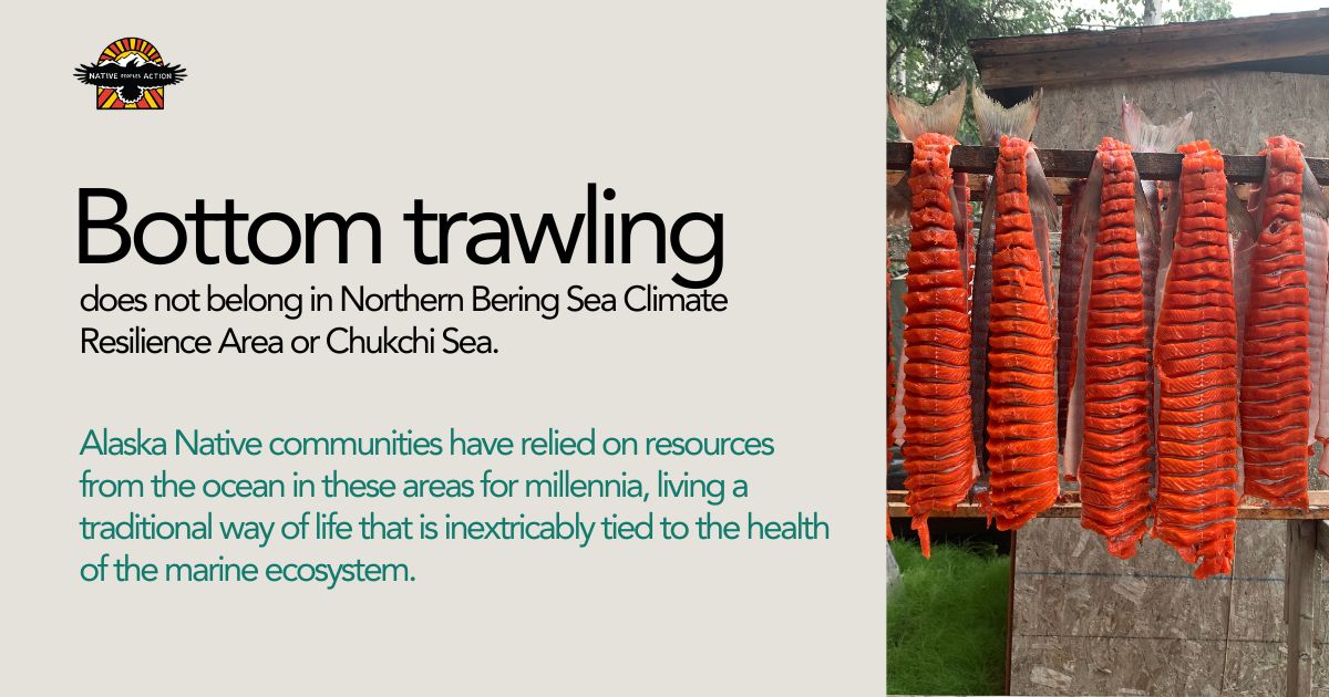 NPA has drafted a letter urging the protection of the Northern Bering Sea Climate Resilience Area and the Chukchi Sea from any use of bottom-trawl gear, including for research.

Sign on today buff.ly/3wGJlel 

You can submit your own comment here buff.ly/4dN72SR