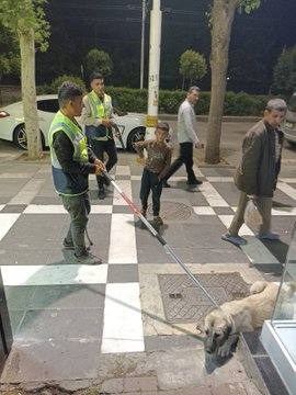 YRP'li Şanlıurfa Belediyesi, sokak köpeklerini toplama kararı aldı. Toplanan köpekler, barınaklara götürülüyor. via @haskologlu