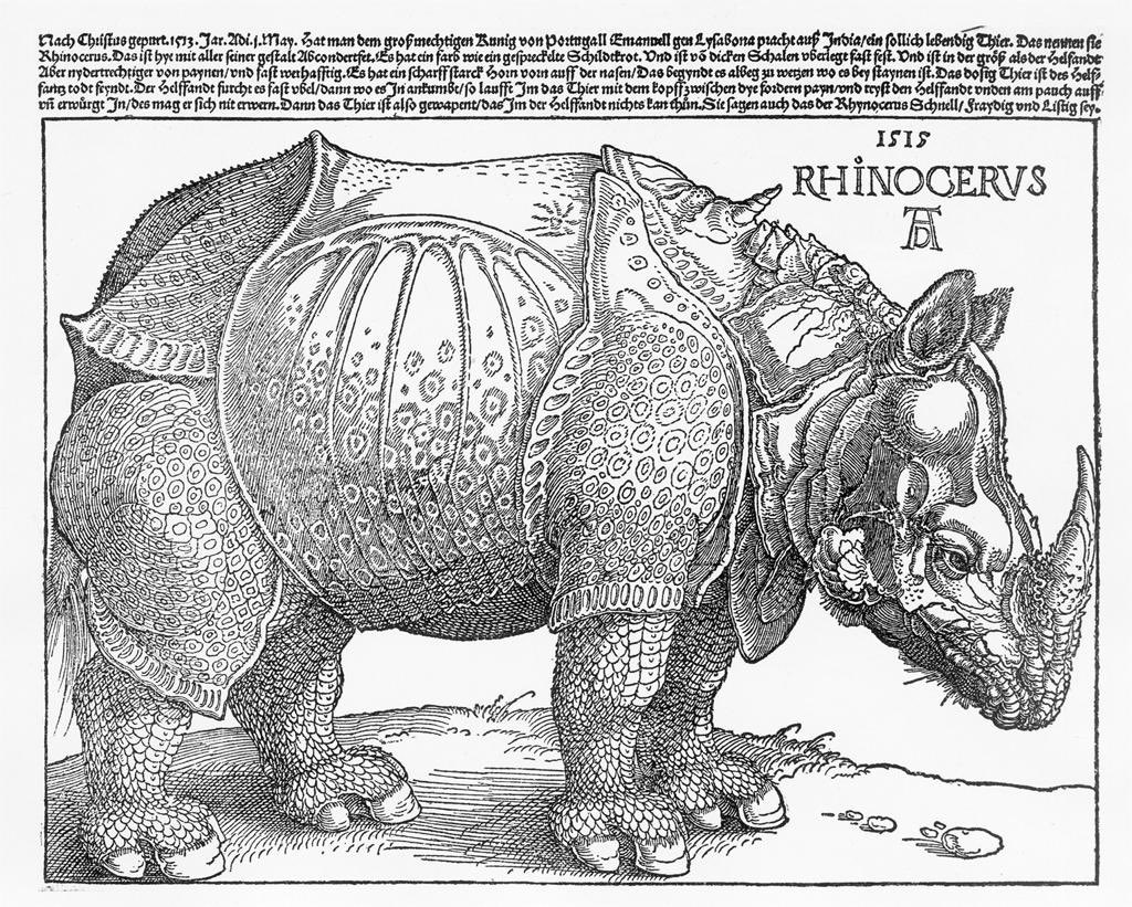 Rhinocerus. Visited Lisbon in 1515, died en route to Italy, Dürer never saw it, but his fabulous woodcut made it famous for centuries. Pretty good going!