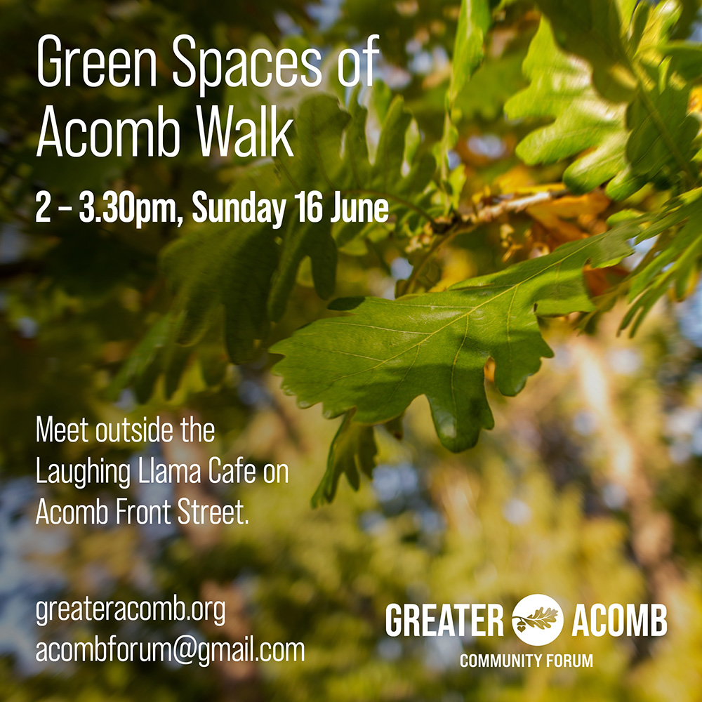 Join members of the Greater Acomb Community Forum for a slow walk through some of Acomb's green spaces! We will try to spot different trees, flowers, birds, etc., on the way, as well as looking out for Acomb landmarks.

#acomb #greenspace #community