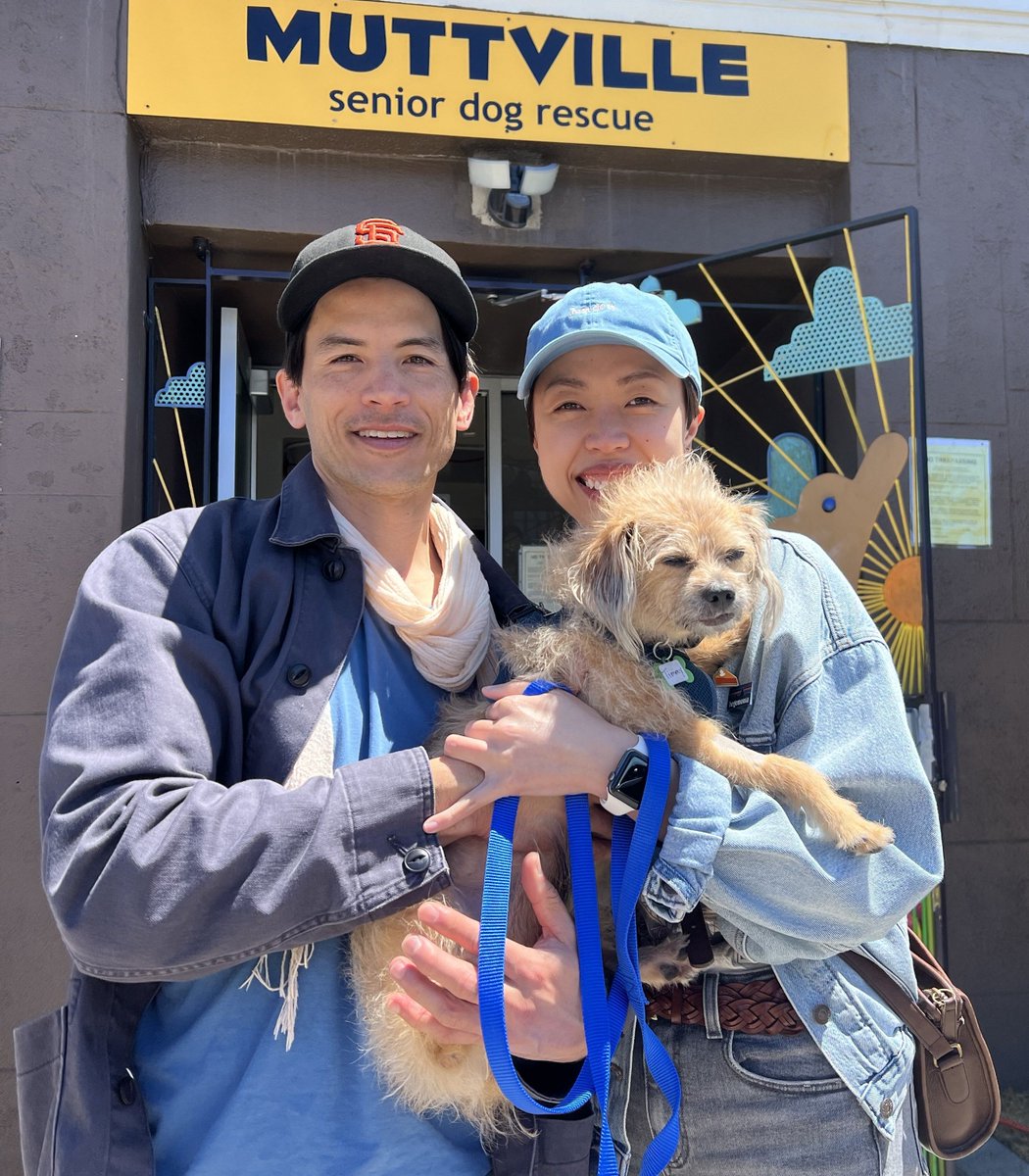 We're happy to share that Timmy was #adopted by Diana & Oyang in #SanFrancisco! They wanted 'a mild-mannered, chill dog who likes to play, walk, & cuddle.' Diana works from home, so he'll have company most of the day! Score!