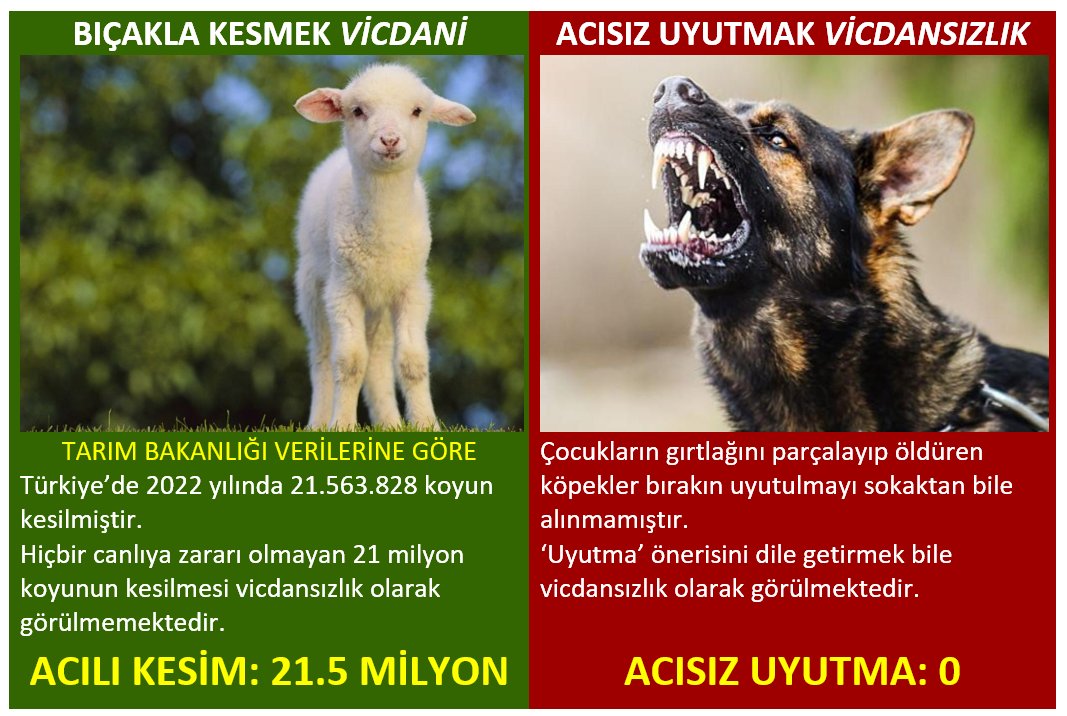 Güvenli Türkiye tweet media