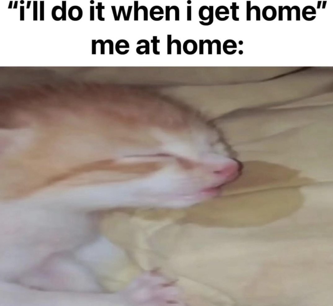 Catsillyness's tweet image. 