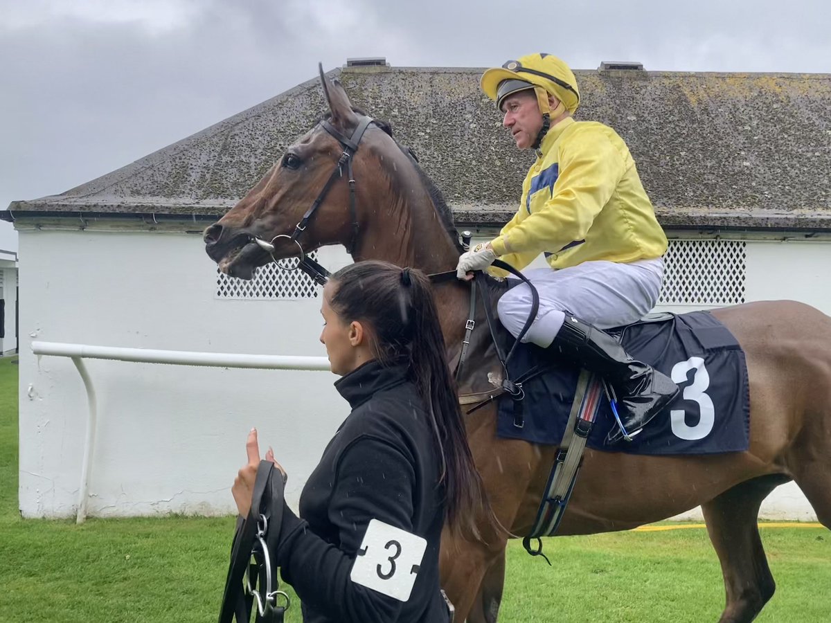 A special trip to @BrightonRace for #MrsMaisel, the last foal of Roy Rocket’s dam Minnie’s Mystery, to make debut, aged 5. @johnegan1968 in saddle, of course. She arrived in stable as yearling in 2020 so it’s taken a while, but she acquitted herself well on this belated debut.