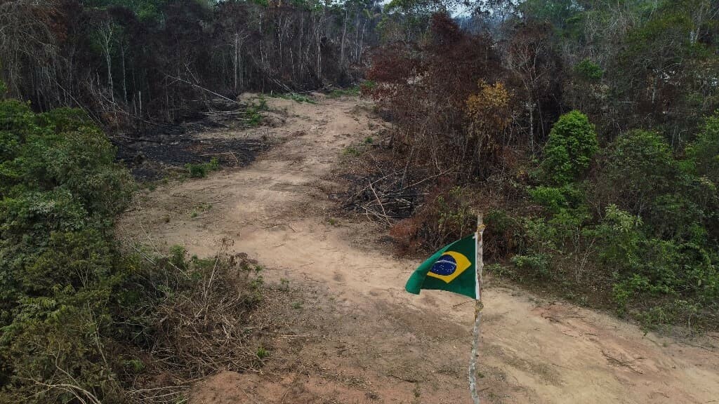 Plus d'un tiers de la forêt amazonienne a du mal à se remettre des épisodes de sécheresse l.bfmtv.com/Y0xR
