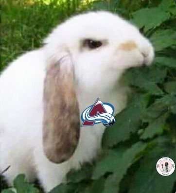 For Pucks Sake Podcast tweet media