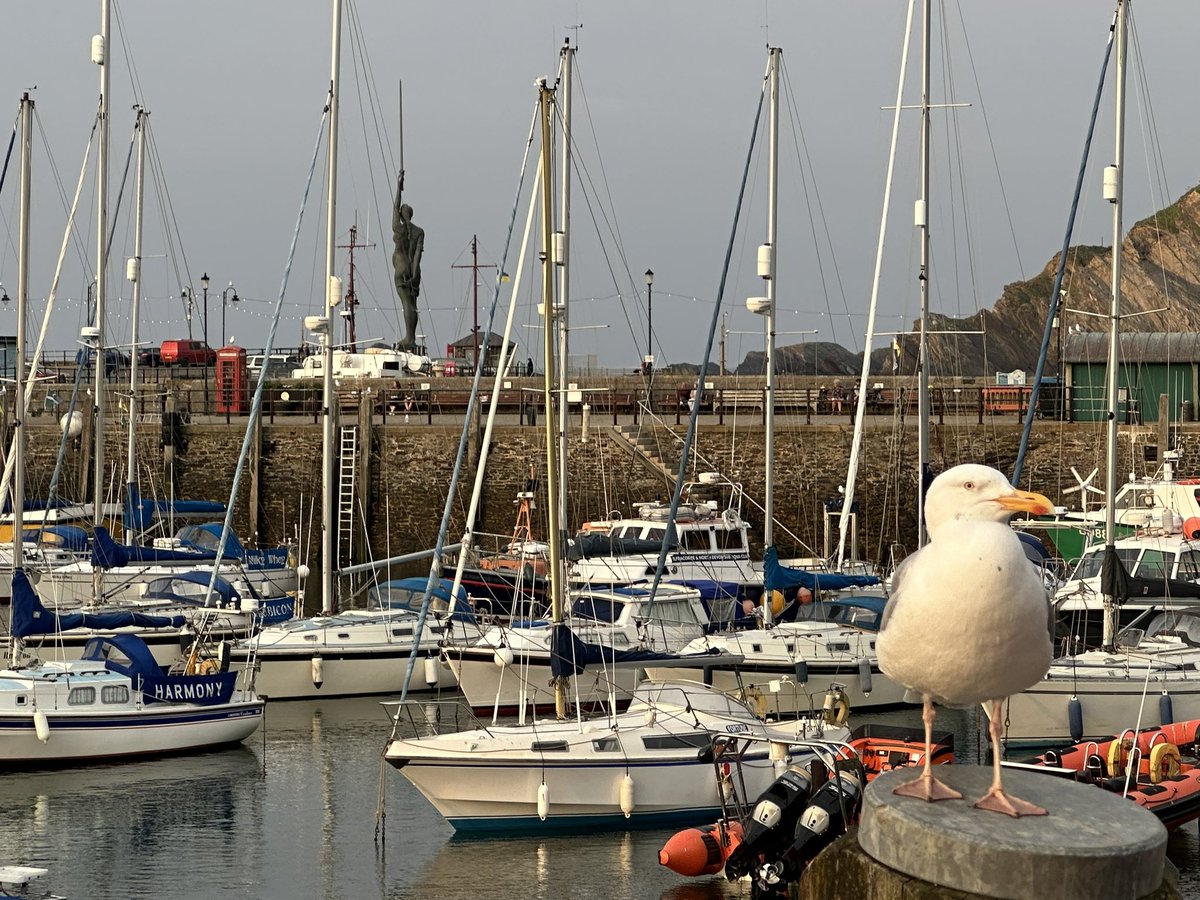 #Ilfracombe is such a great setting for books, I absolutely LOVE it here. 😍🥰😘#AmWriting #SwimmingToLundy #VisitIlfracombe