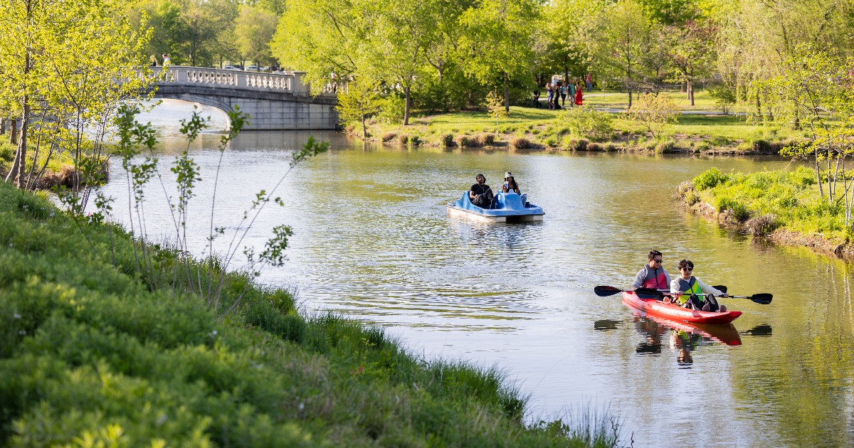 POV you visit Big Muddy Adventures at the @boathousestl in Forest Park (M-F, 11a-7p) and it's decision time: 💙 team paddle boat ❤️ team kayak #ForestPark4ever