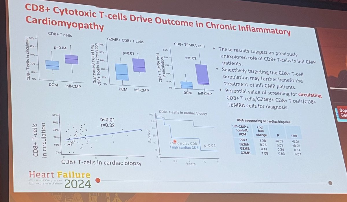 #HeartFailure2024

CD8+ Cytotoxic T-cells Drive Outcome in Chronic Inflammator Cardiomyopathy

unexplored role of CD8+ T-cells in InfI-CMP

Selectively targeting the CD8+ T-cell population may further benefit the treatment of Infl-CMP patients