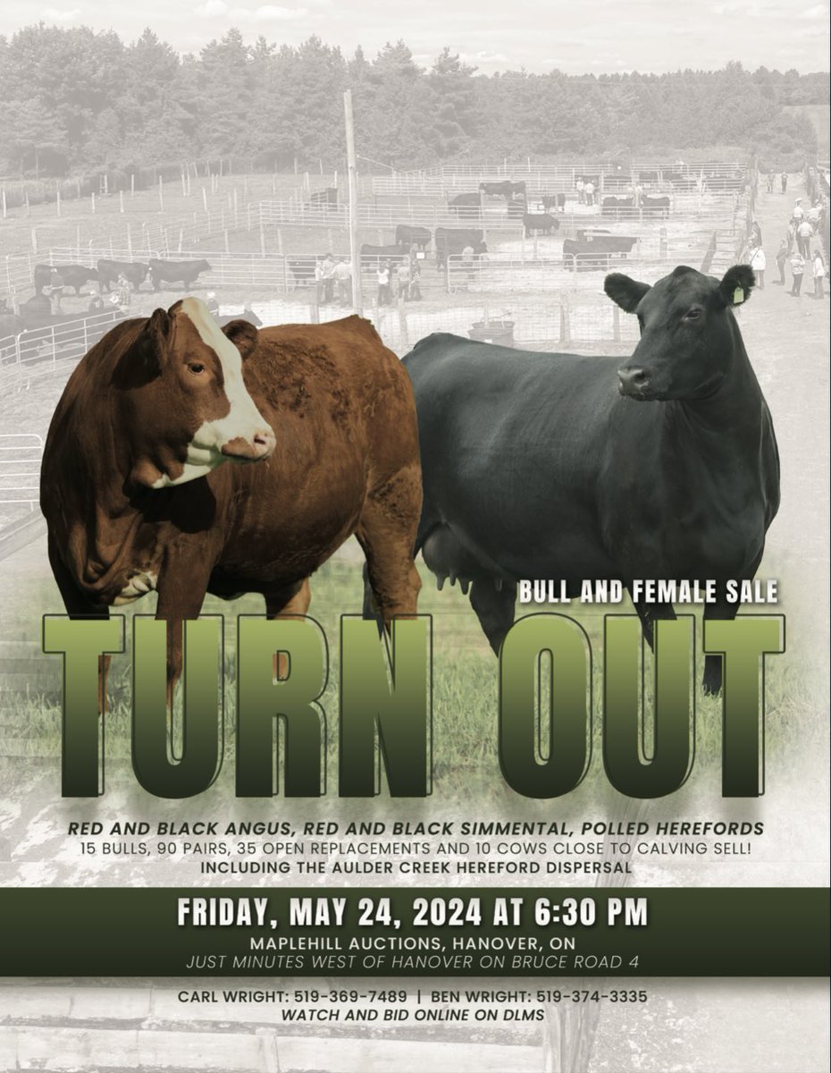 Bryce Ribey tweet media