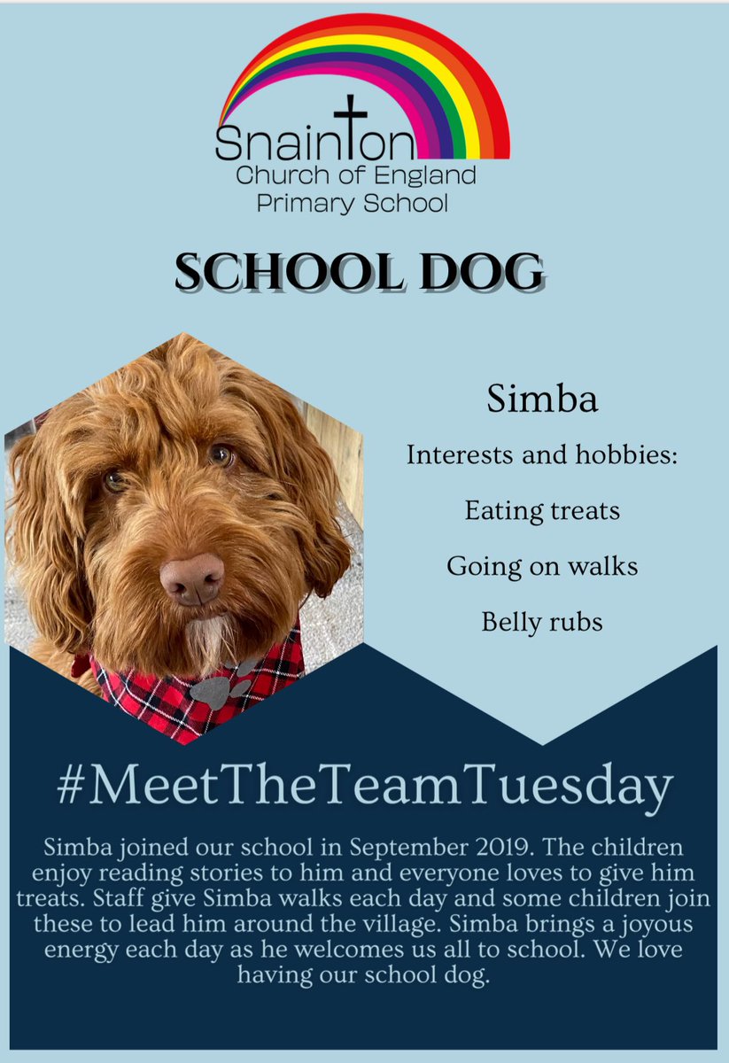 SnaintonSchool's tweet photo. It’s Tuesday already and that means we get to introduce another member of our team. Today we introduce our school dog, Simba. 

#MeetTheTeamTuesday https://t.co/G3jSLvEOQI