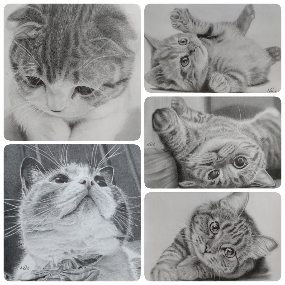 6MK5utpa1hgVKGt's tweet image. おはようございます😺
今日も気温高めの一日になりそうですね☀️🫠
体調にお気をつけて
よい一日をお過ごしくださいませ🤗💓

今年描いた猫ちゃん達です😺😻🐱😸💕
  #鉛筆画  #模写  #毎日が猫の日