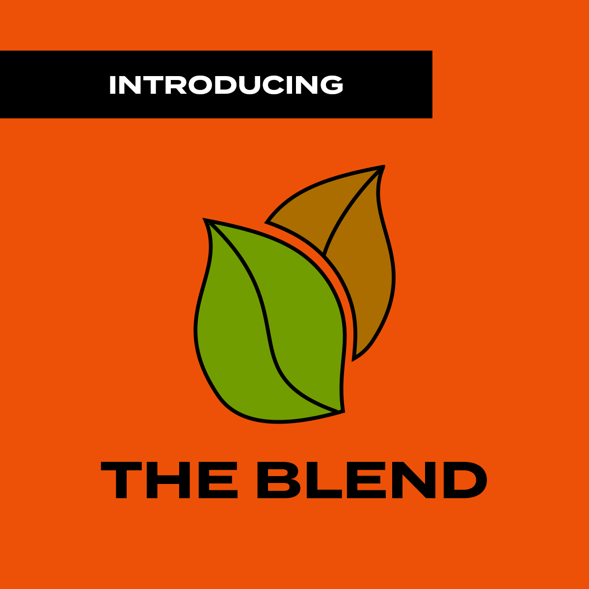 CigarWorld's tweet photo. Introducing The Blend! Explore all your favorite Cigar World features — from Roast and Toast pairings to City Survival Guides and more — here: https://t.co/SdWmWQTGWA.
#CigarWorld #TheBlend #CigarFeatures #RoastAndToast #TobacconistTuesday #ShopDogs #ArtisansCorner https://t.co/MZhaOnw0c8