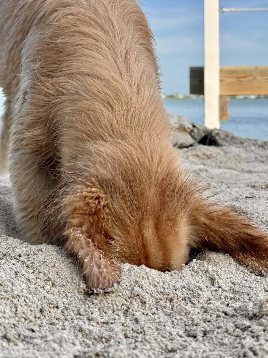 TheGoldenRatio4's tweet photo. Current strategy for managing my responsibilities https://t.co/wDd9Lcda3R