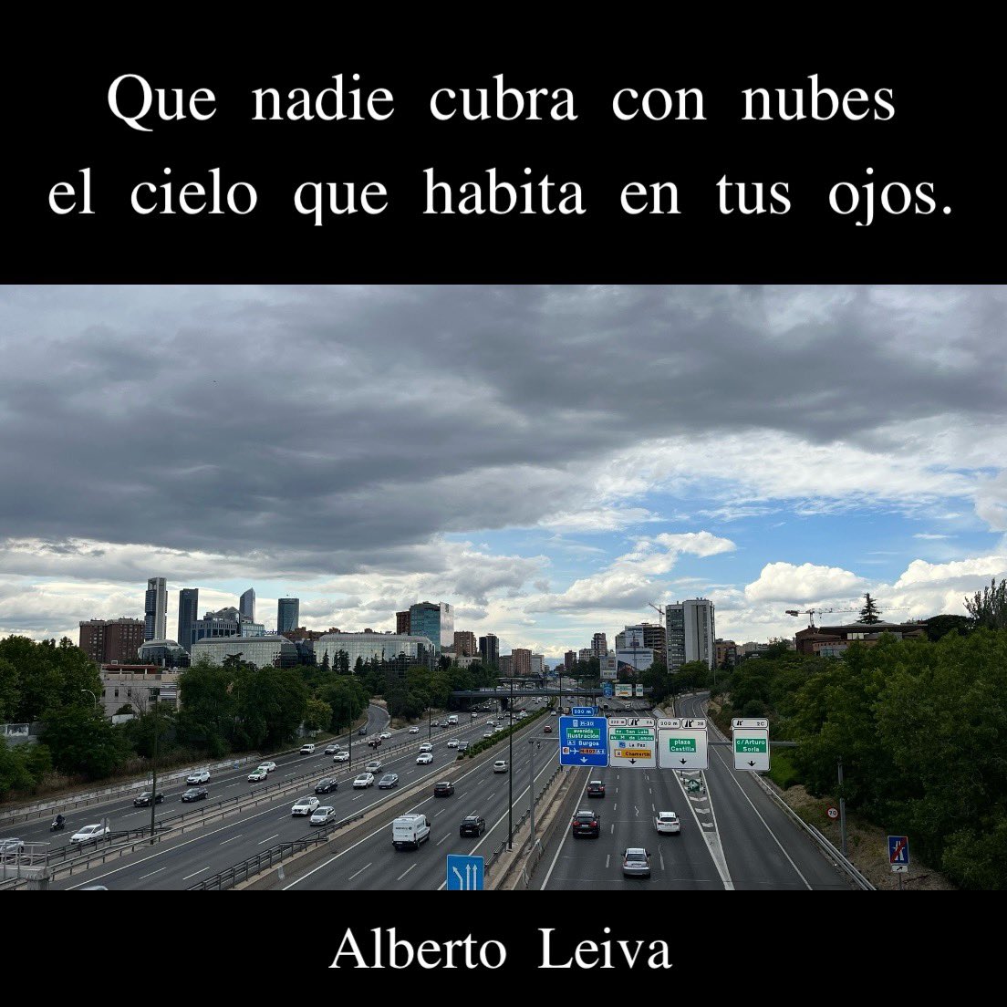 Que nadie cubra con nubes el cielo que habita en tus ojos.

#frases