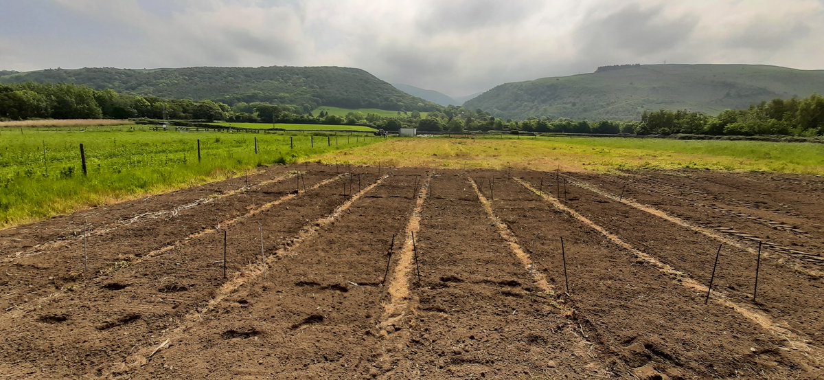 Plastic Legacy in Soil tweet media