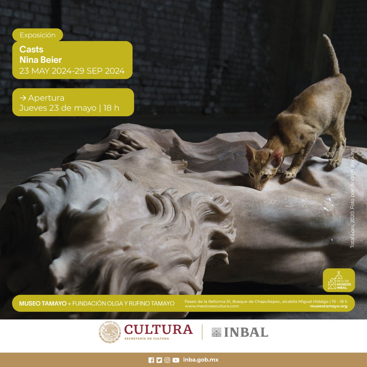 museotamayo's tweet photo. Próximamente #eneltamayo
Casts reúne un conjunto de esculturas y performances de la artista danesa Nina Beier. Además de obras en el muro y en el suelo que se relacionan entre sí y que por momentos sirven de escenografía de los actos que suceden de manera discreta e intermitente. https://t.co/Sx94yhmSuw