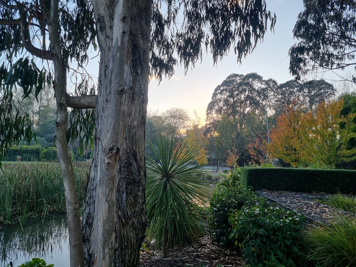 KatieDodson tweet media